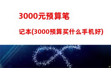 000元预算笔记本(3000预算买什么手机好)"