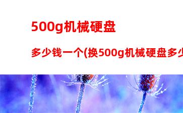 00g机械硬盘多少钱一个(换500g机械硬盘多少钱)"