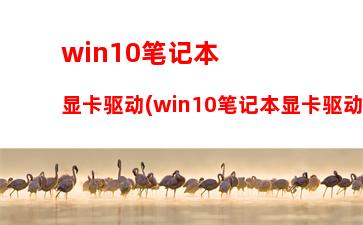 win10笔记本显卡驱动(win10笔记本显卡驱动怎么更新)