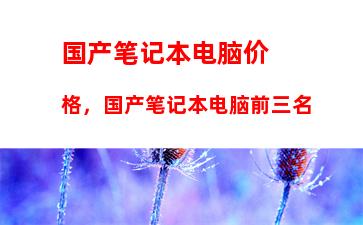 国产笔记本电脑价格，国产笔记本电脑前三名