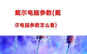 戴尔电脑参数(戴尔电脑参数怎么看)