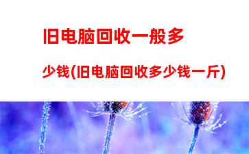 旧电脑回收一般多少钱(旧电脑回收多少钱一斤)