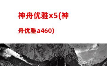 神舟优雅x5(神舟优雅a460)