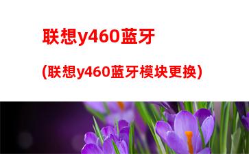 联想y460蓝牙(联想y460蓝牙模块更换)