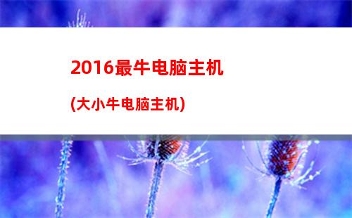 016最具性价比的显卡(最具性价比二手显卡)"