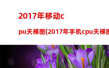 017年8月cpu天梯图(2017笔记本cpu天梯图高清)"