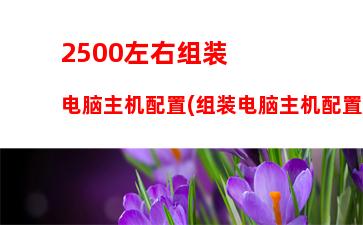 500左右主机箱配置(2500左右电脑主机)"