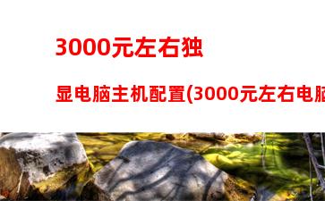 000元左右主机配置(3000左右的什么手机好)"