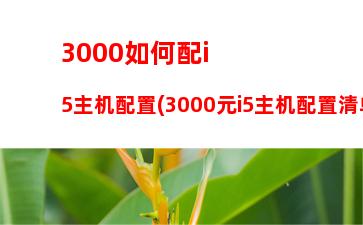 a88主板配1060显卡(铭瑄a88主板配什么显卡)