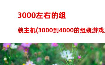 000左右的游戏主机(3000左右的游戏主机推荐)"