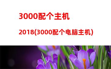 000元以内的游戏电脑配置(3000以内的电脑配置单)"