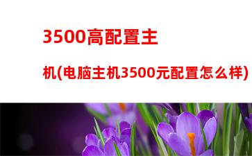 500元电脑主机配置单(3500元电脑主机配置单2021)"