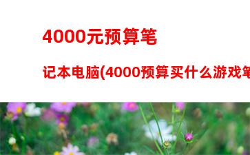 笔记本电脑的报价(笔记本电脑报价太平洋)