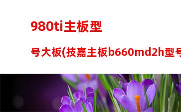 015配个2000左右的主机(2015入党申请书2000字左右)"