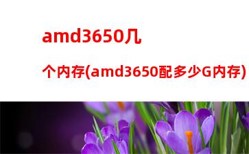 amd5000配什么显卡能发挥最好(amd5000+配什么显卡)