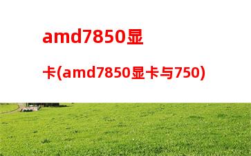 amd5800k显卡(AMD5800k现在还能玩什么游戏)