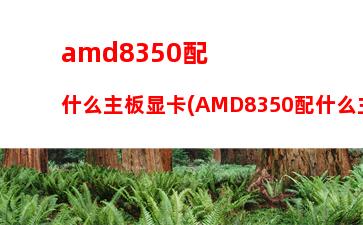 amd移动显卡天梯图(amd专业显卡天梯图)