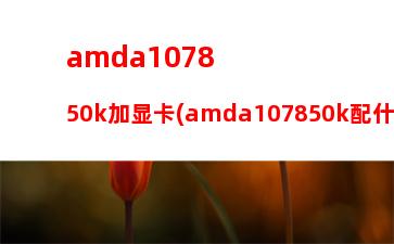 amdfx6300主机配置