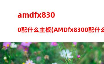 amdf1主板(AMDF1主板和英特尔G41主板那个好)