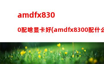 amd移动apu显卡天梯(amd移动端cpu天梯图)