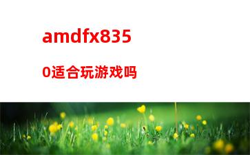 amdfx8300主机