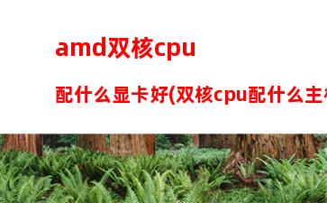 amd1045t最好的主板(amd1045t配什么主板)