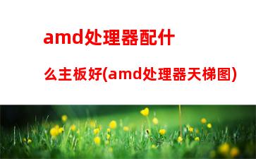 amd铜牌游戏(amd游戏优化)