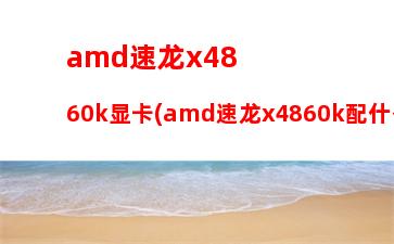 amda66400支持什么内存