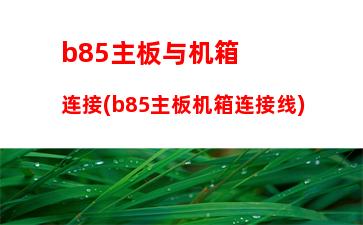 b85主板能用的i5(b85主板支持什么cpu 最高)