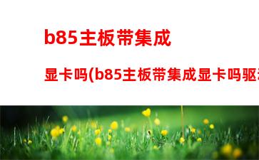 b150主板用2400内存条兼容性(b150主板配什么内存条)