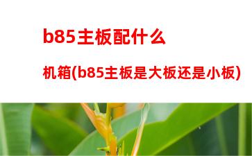 b85主板i5配什么显卡(B85主板配什么内存条)