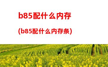 b85主板怎样加装硬盘(b85主板参数)