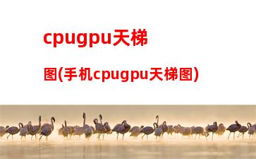 CPU天梯图AMD那么低(Amd cpu天梯图)