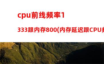 r51600内存条(r51600用什么内存条)