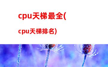 ddr4内存ddr3主板(ddr4内存可以装在ddr3的主板上么)