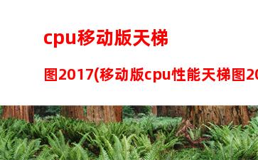 cpu显卡参数(左上角cpu显卡参数怎么开启)