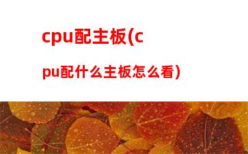 便宜的游戏本性价比高的(游戏笔记本性价比排行2023便宜)