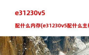 金士顿骇客内存条真假(金士顿骇客内存条上面参数详解)