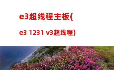 e3处理器16g内存(e3处理器支持ecc内存吗)