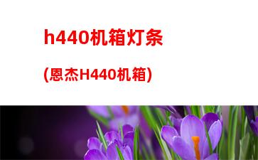 H2机箱拆解(恩杰h2机箱)