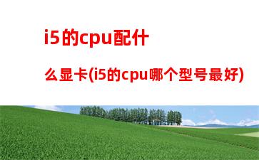 i5配8g内存(i5配32g内存浪费吗)