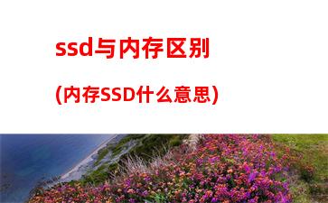 win8电脑内存条多大怎么看(怎么看电脑可以装多大的内存条)