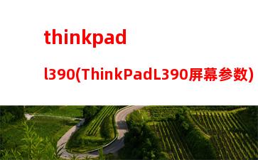 thinkpadx61s