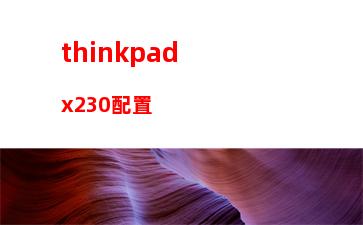 thinkpadx200参数