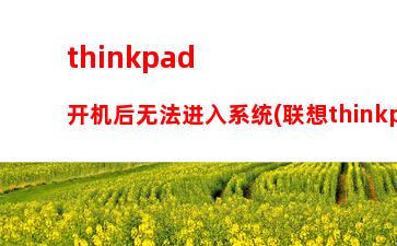 thinkpadx220i