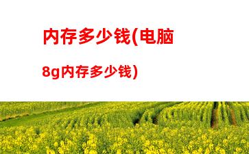 电脑内存详细参数(电脑内存参数怎么看)