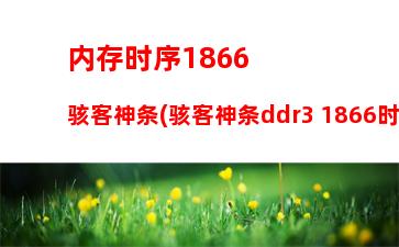 r51600配什么内存(r51600支持的内存频率)