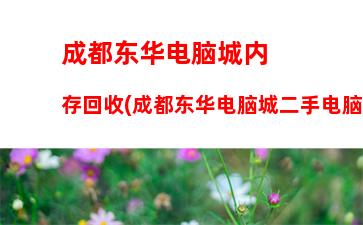 视频后期内存(视频后期招聘)