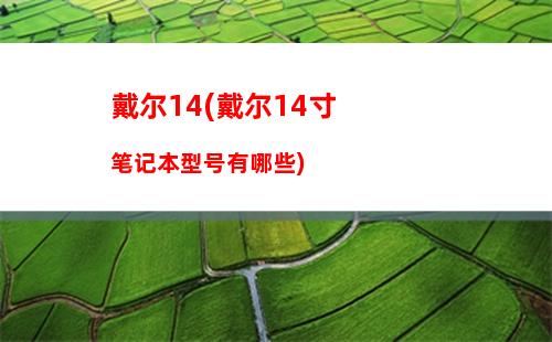 笔记本性价比排行2019(笔记本性价比排行2022年8月)