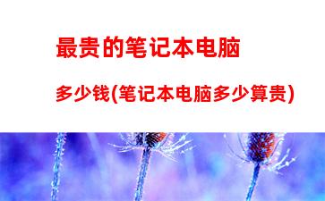 神舟售后怎么样(神舟游戏本售后怎么样)